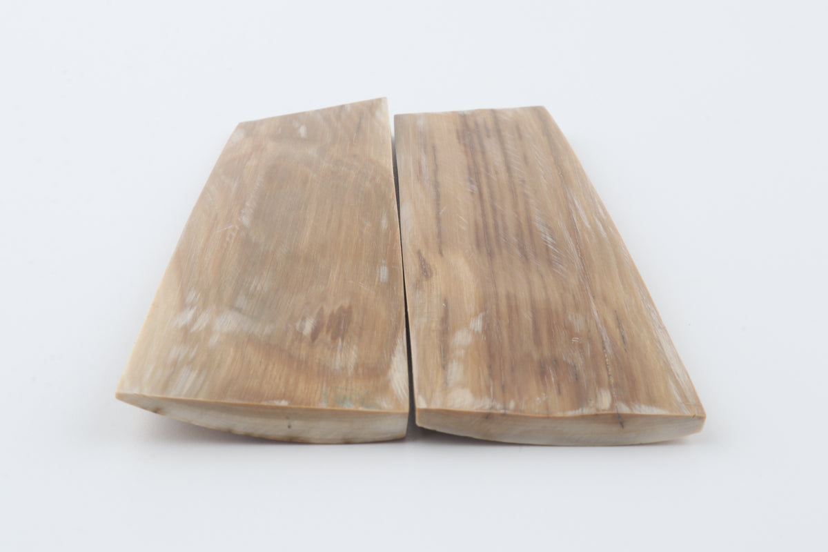 Natural mammoth bark scales