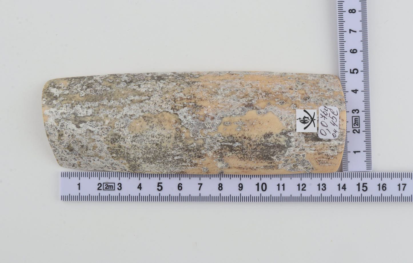 Grey-white mammoth bark