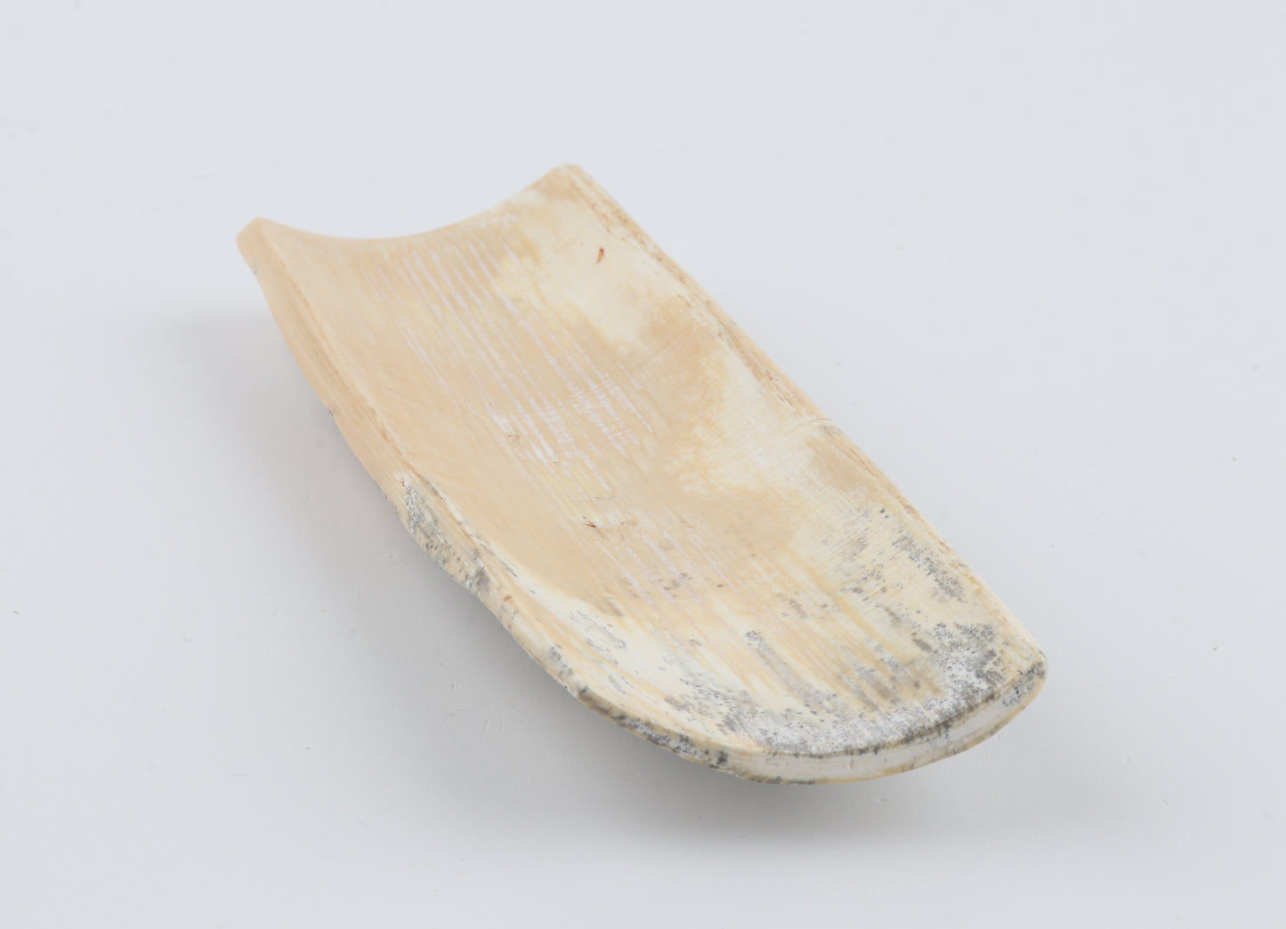 Grey-white mammoth bark