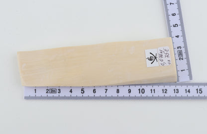 White mammoth ivory segment