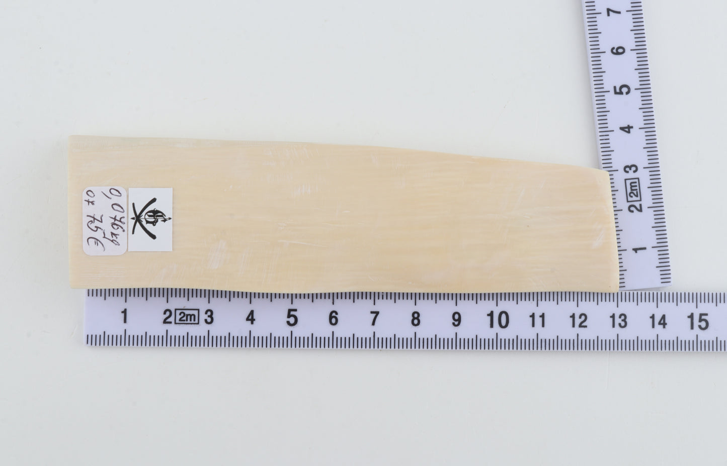 White mammoth ivory segment