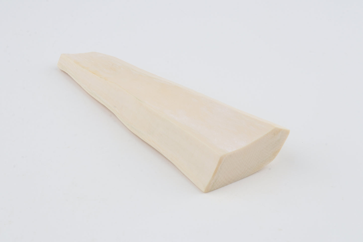 White mammoth ivory segment