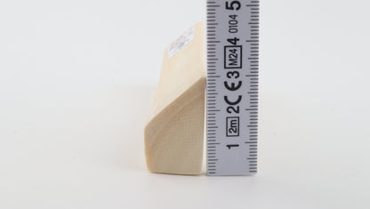 White mammoth ivory segment