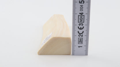 White mammoth ivory segment
