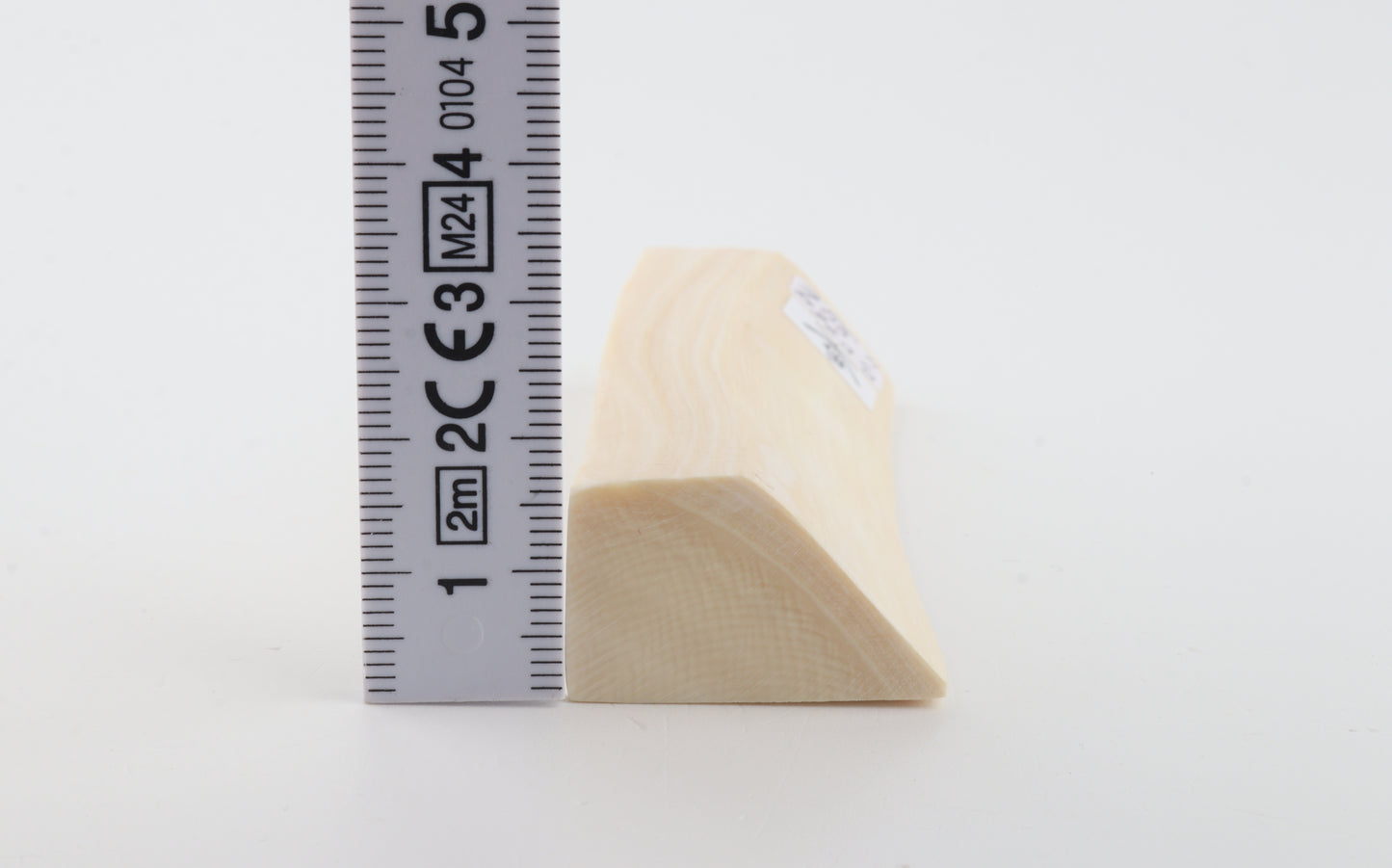 White mammoth ivory segment