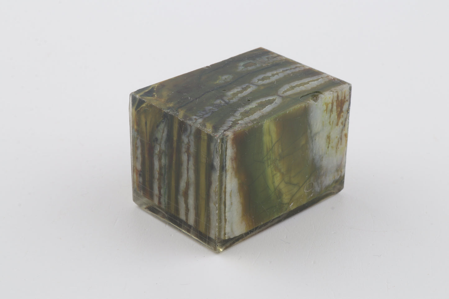 Stabilized mammoth molar piece