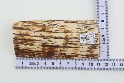 White-brown mammoth bark