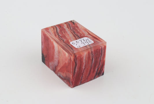 Stabilised mammoth molar piece