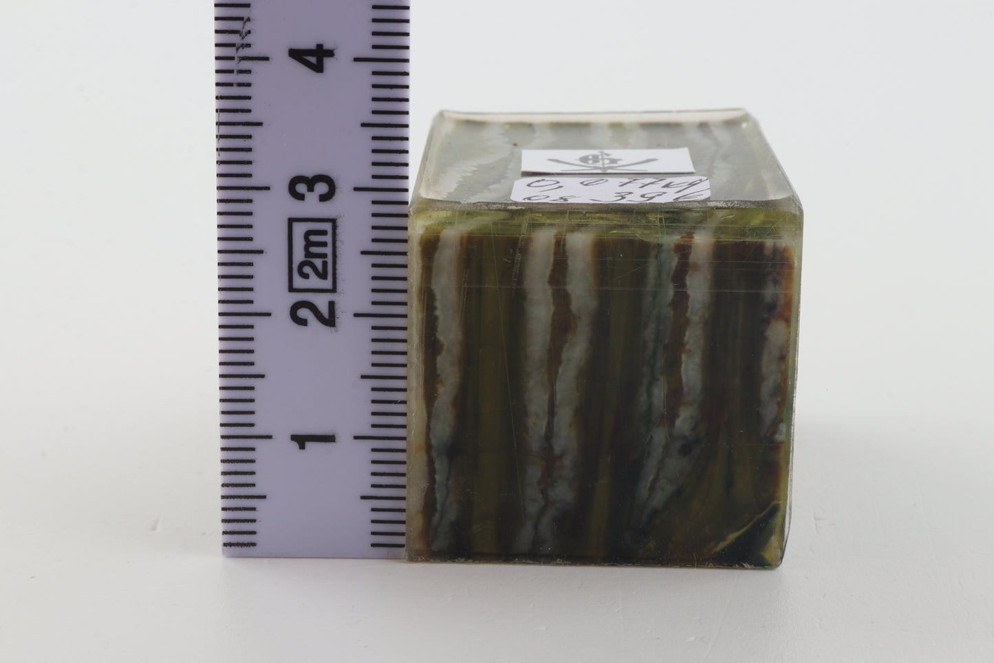 Stabilized mammoth molar piece