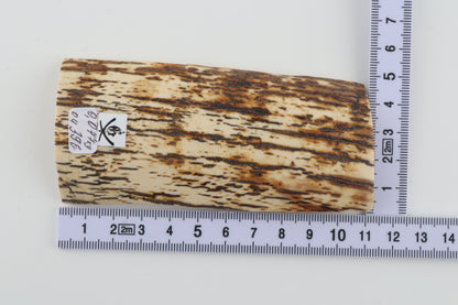 White-brown mammoth bark