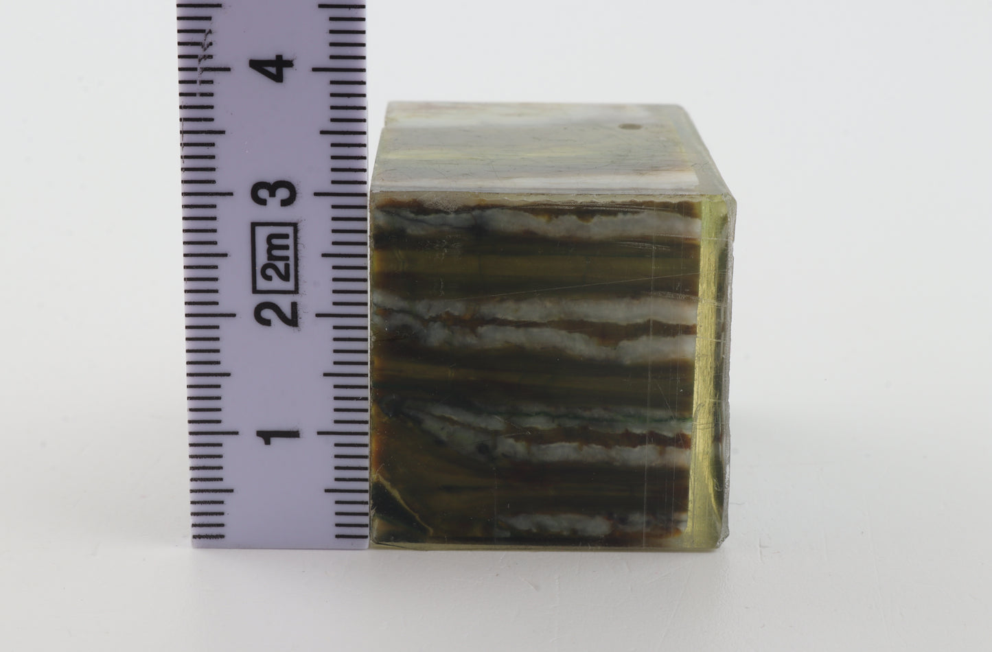 Stabilized mammoth molar piece