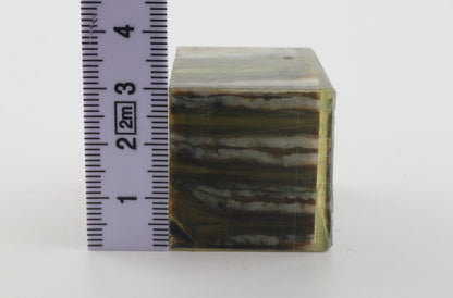 Stabilized mammoth molar piece