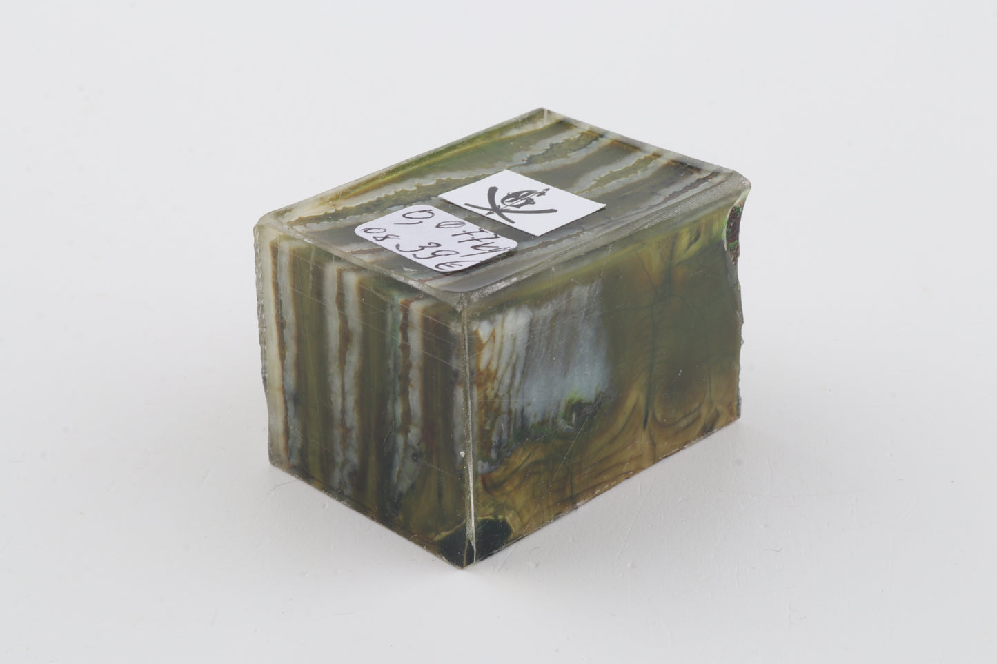 Stabilized mammoth molar piece