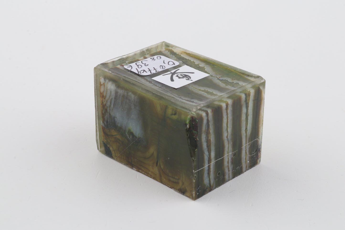 Stabilized mammoth molar piece