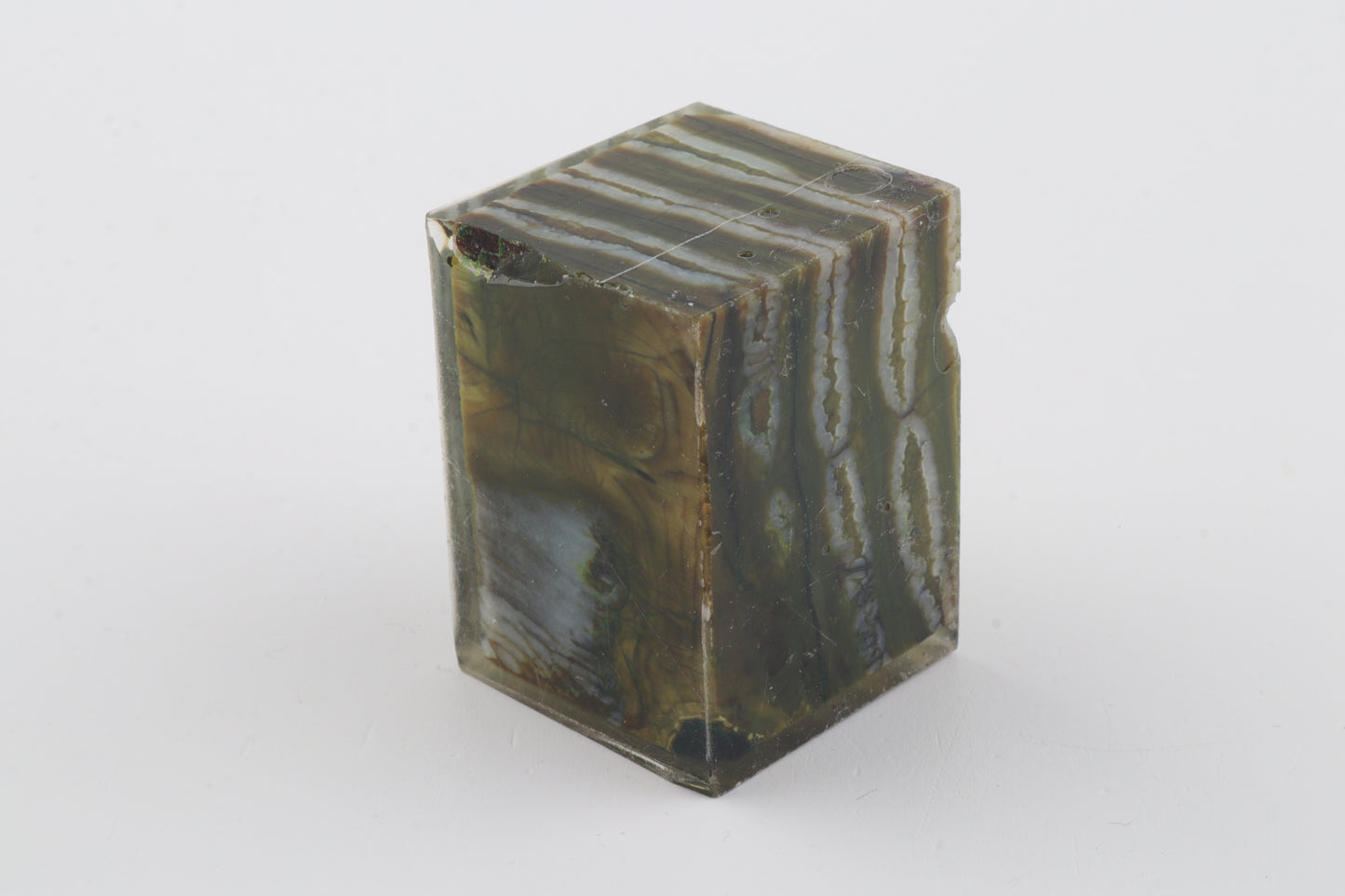 Stabilized mammoth molar piece