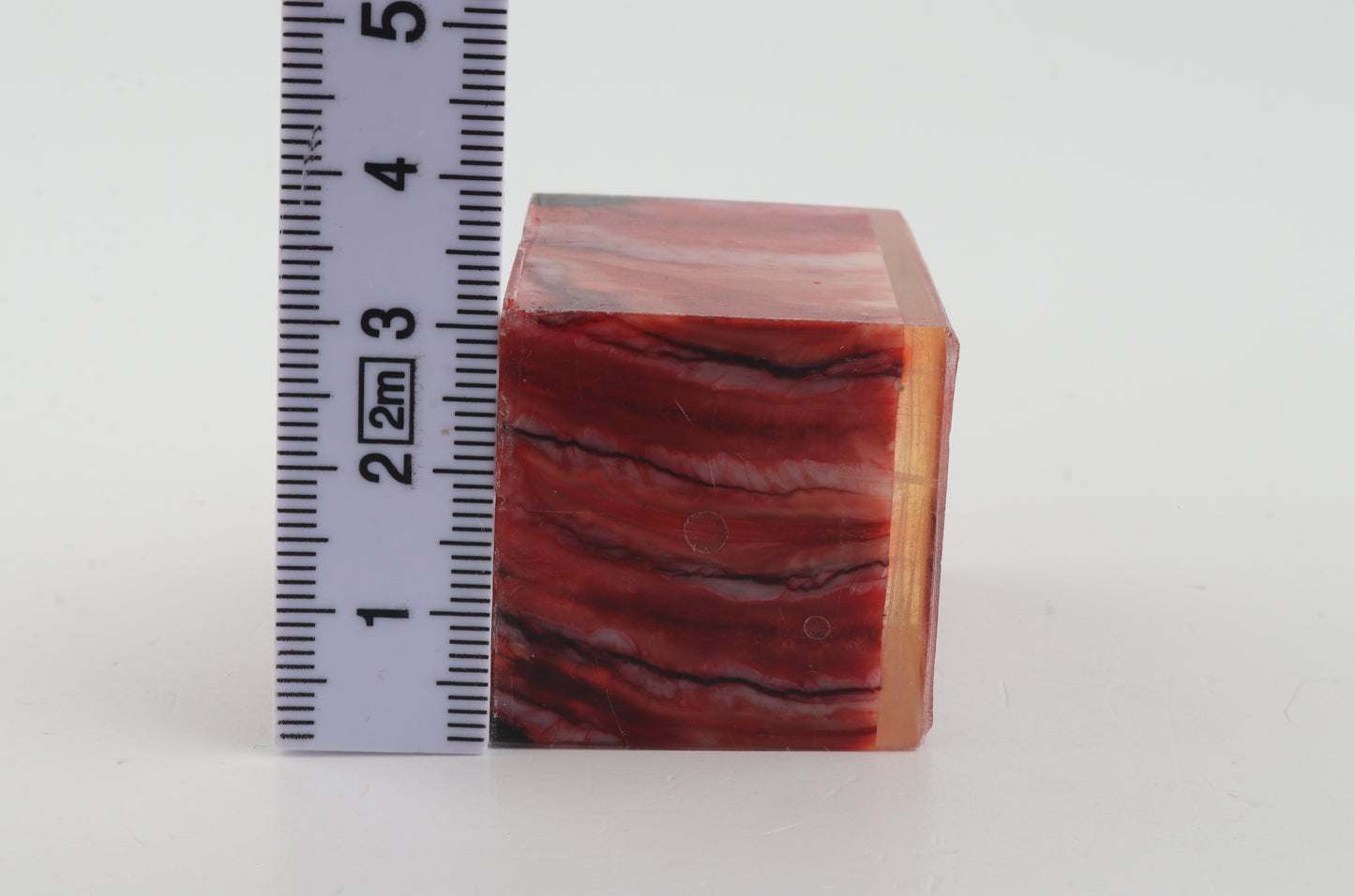 Stabilised mammoth molar piece