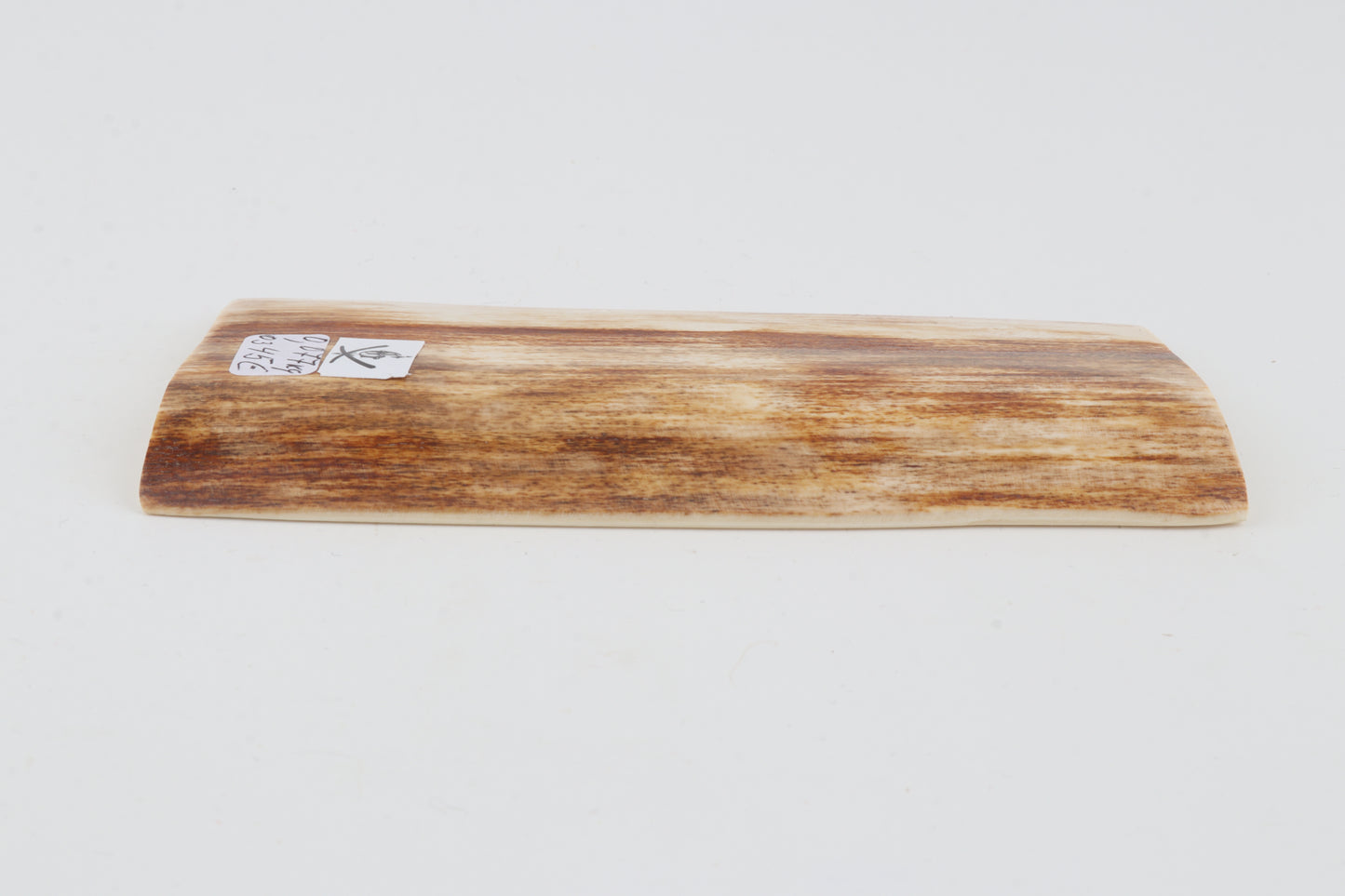 Orange-white mammoth bark