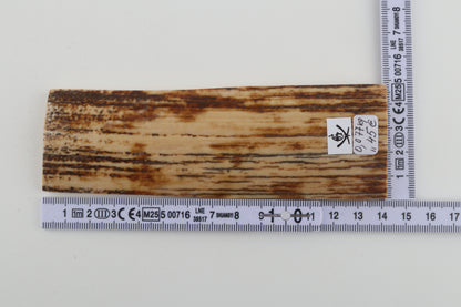 Beige-brown mammoth bark
