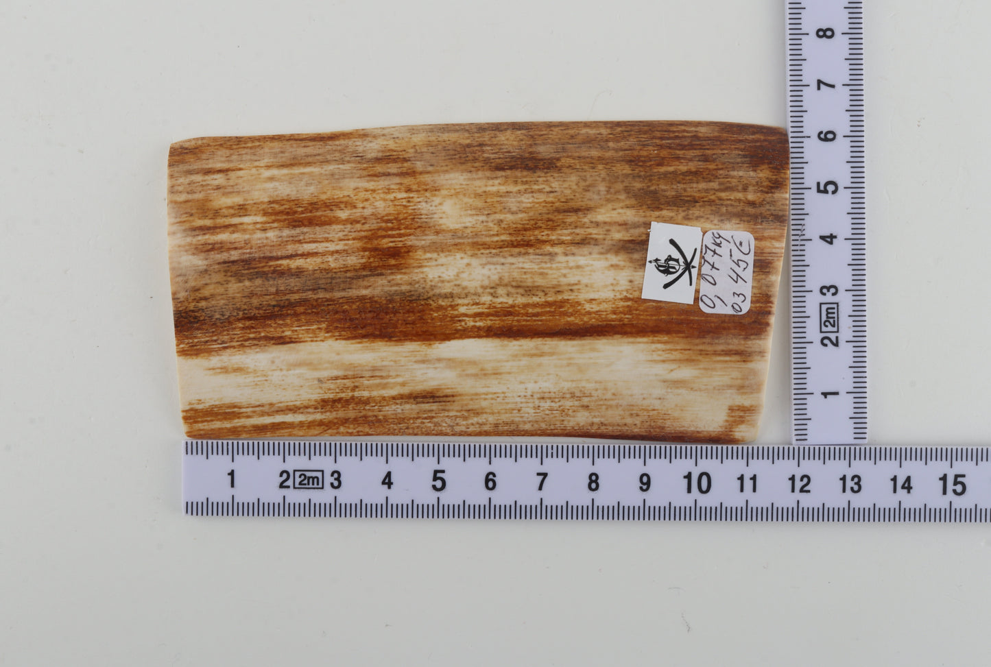 Orange-white mammoth bark