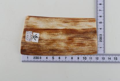 Orange-white mammoth bark
