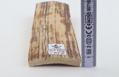 Beige-brown mammoth bark