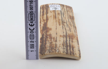Beige-brown mammoth bark