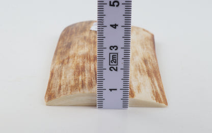 Orange-white mammoth bark