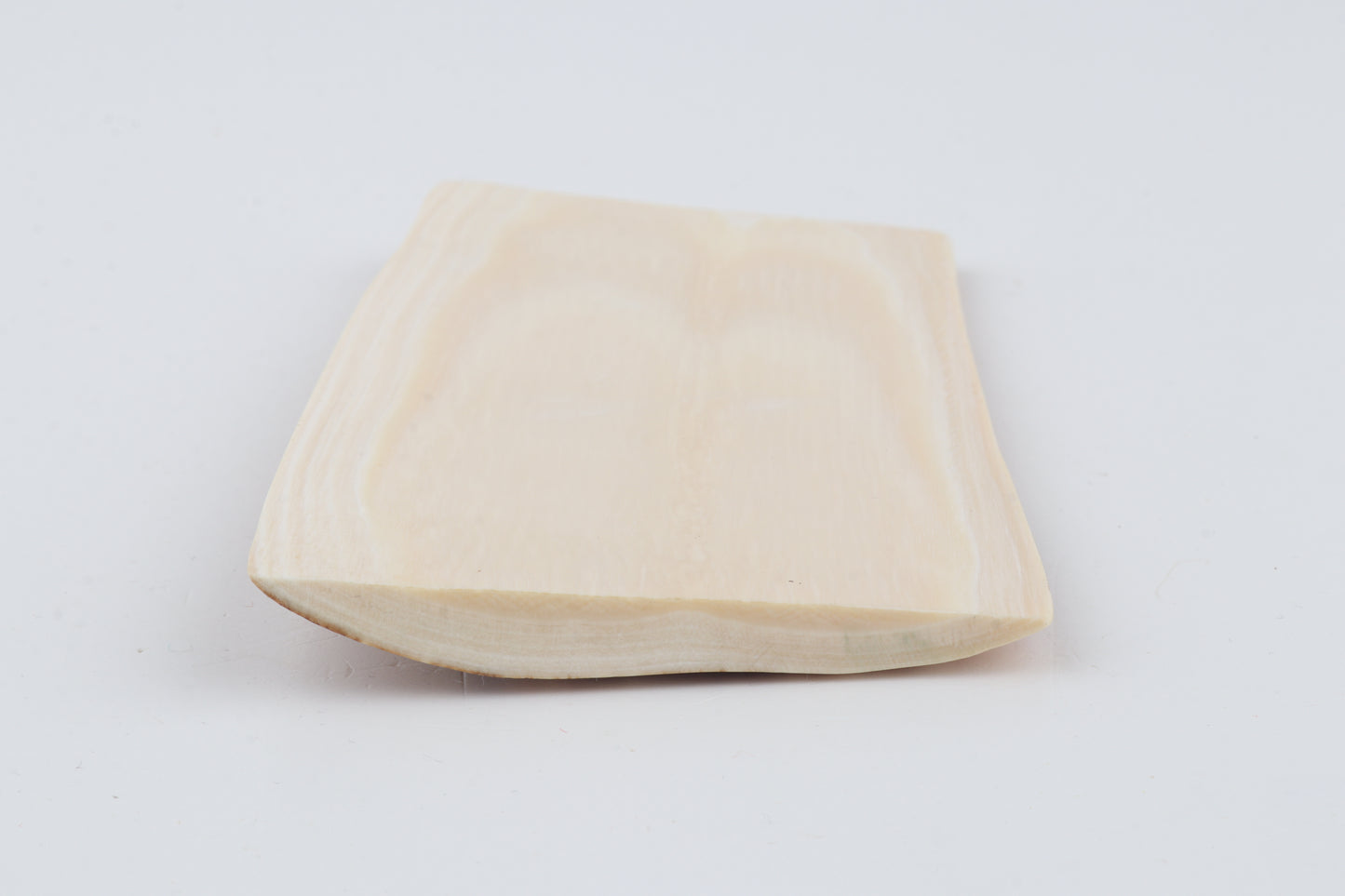 Orange-white mammoth bark