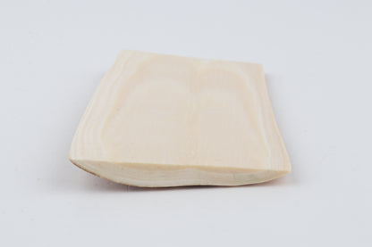 Orange-white mammoth bark