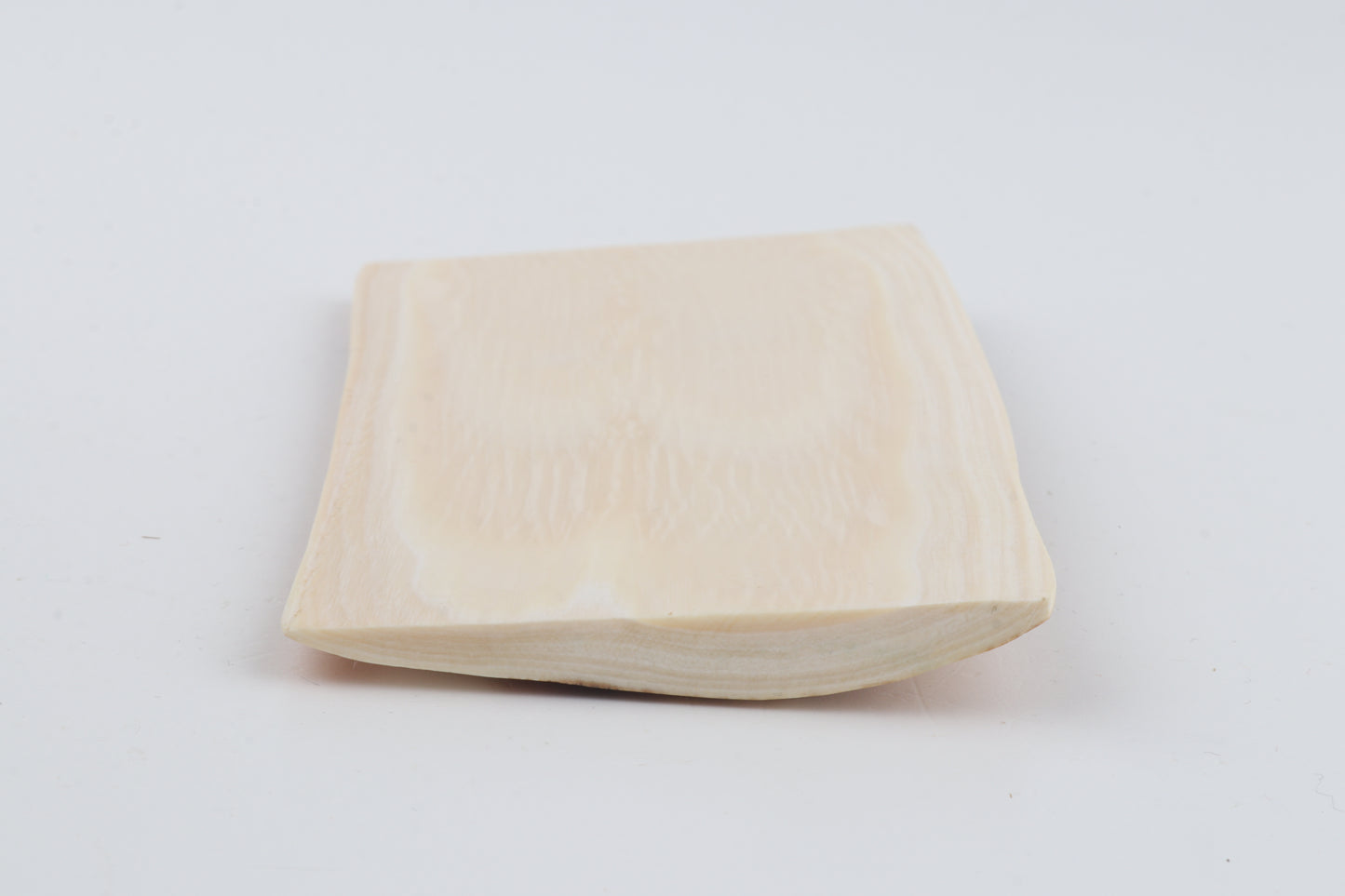 Orange-white mammoth bark