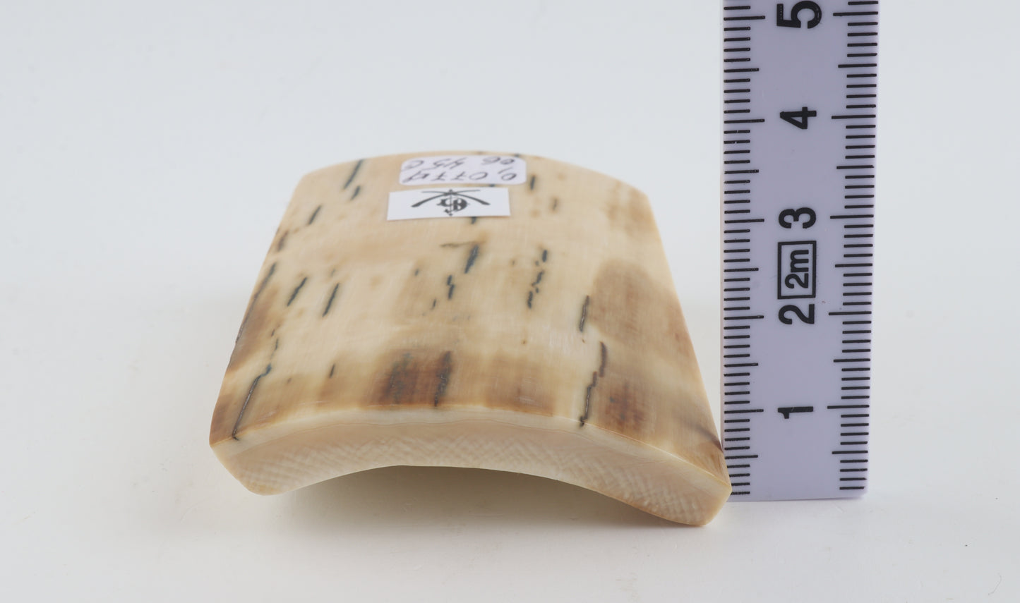White-beige mammoth ivory piece