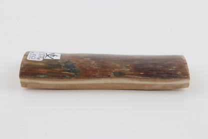Brown-blue mammoth bark