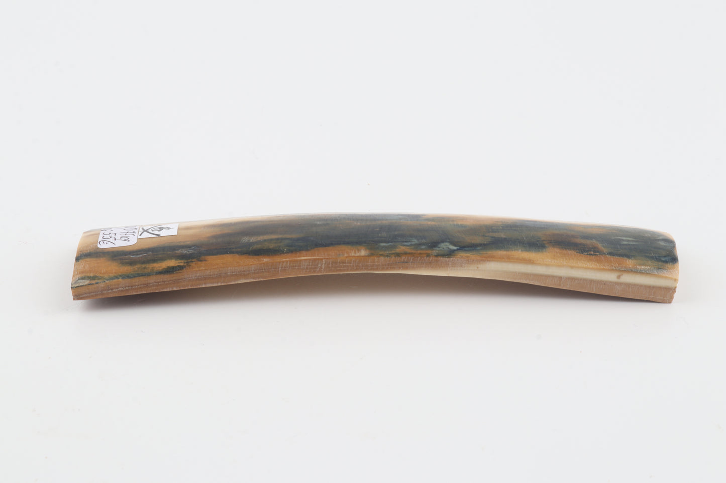 Mustard-blue mammoth bark