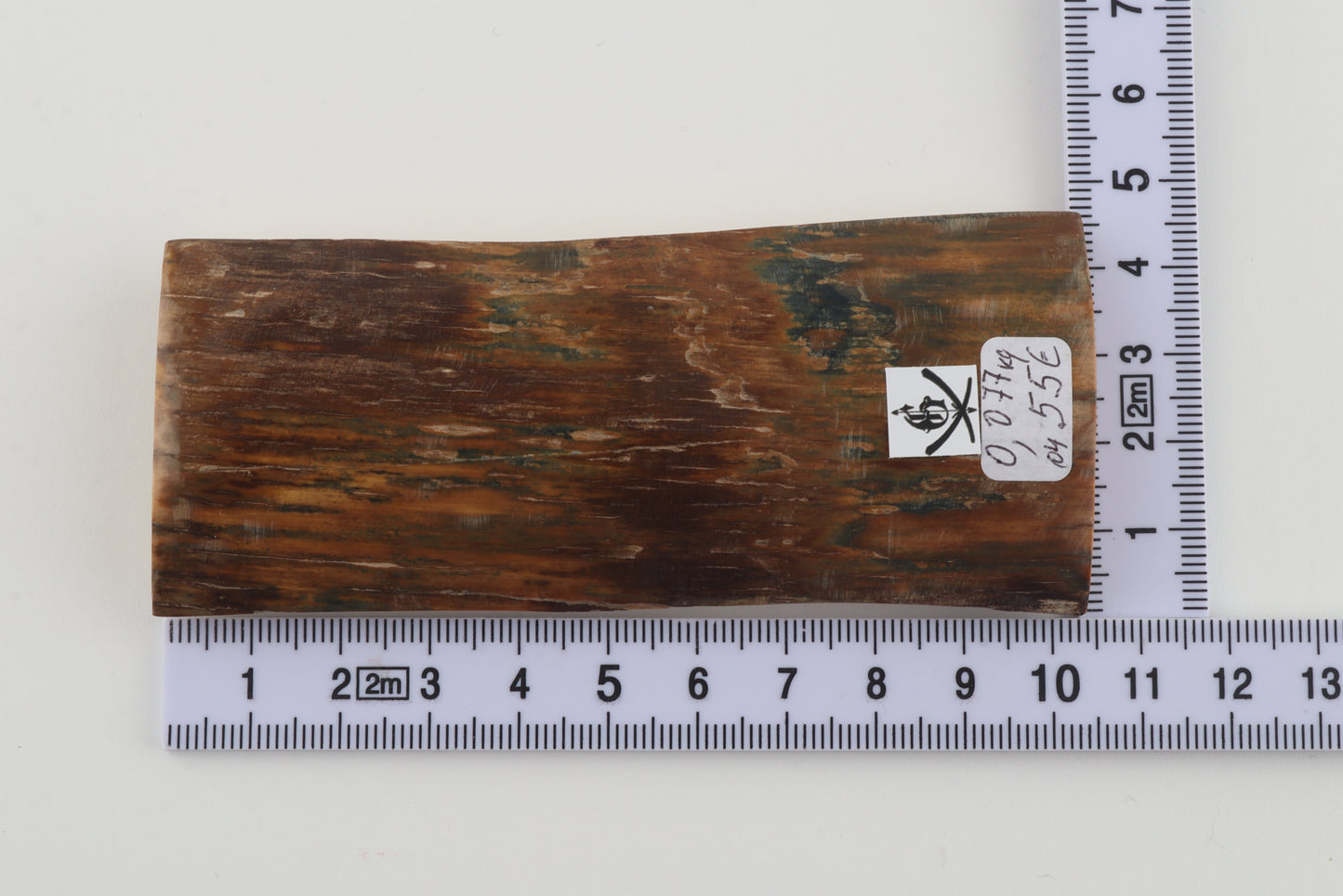 Brown-blue mammoth bark
