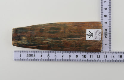 Brown-green mammoth bark