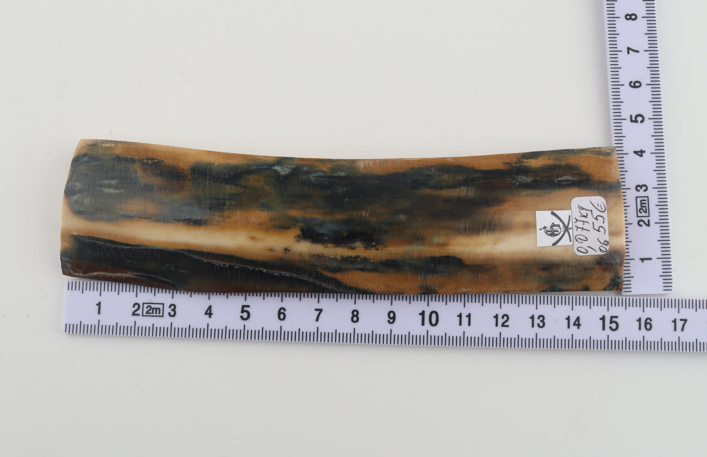 Mustard-blue mammoth bark