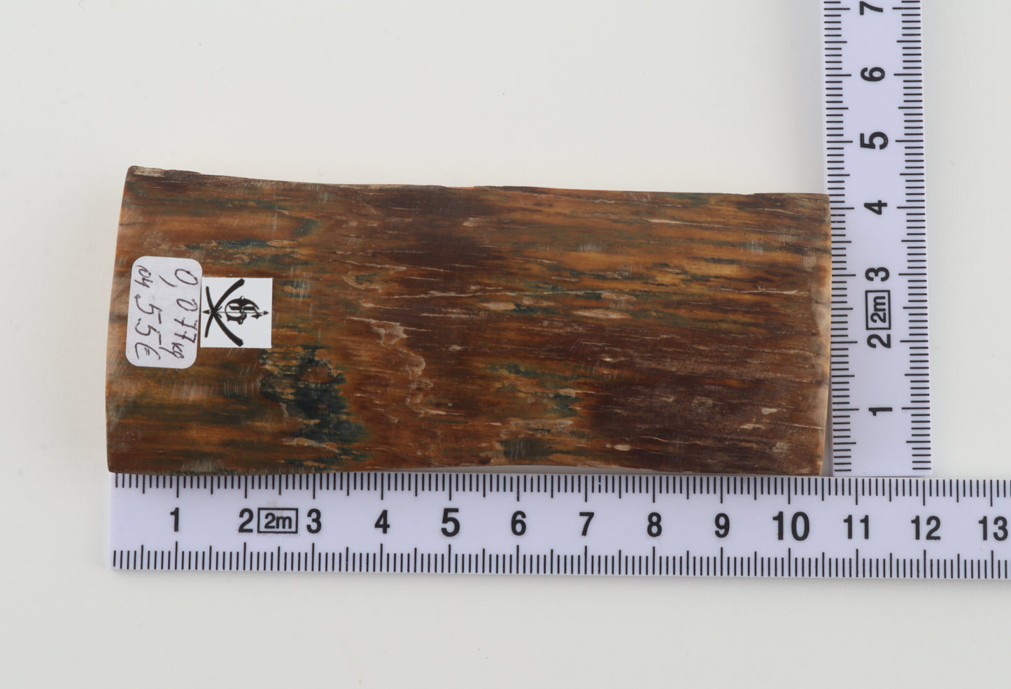 Brown-blue mammoth bark