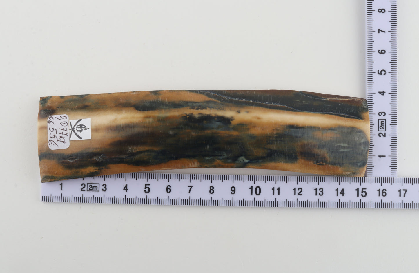 Mustard-blue mammoth bark