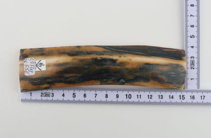 Mustard-blue mammoth bark