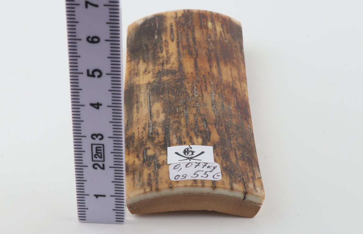Brown mammoth bark