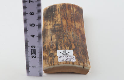 Brown mammoth bark