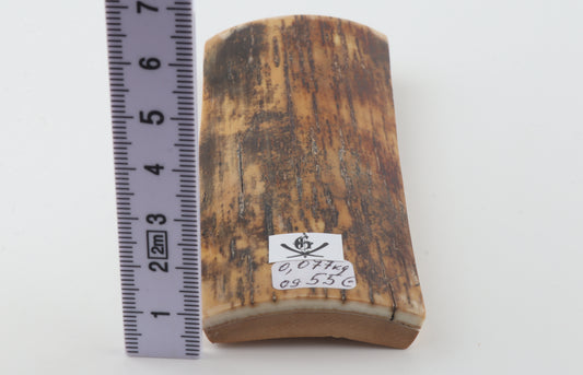 Brown mammoth bark