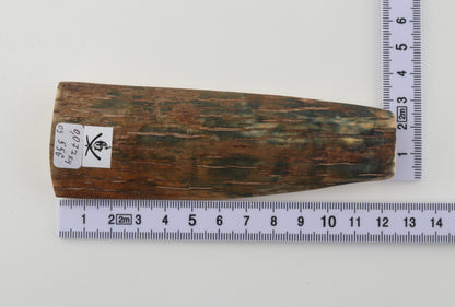 Brown-green mammoth bark