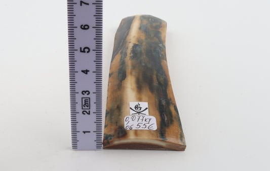 Mustard-blue mammoth bark