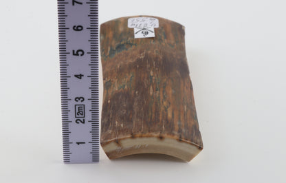 Brown-blue mammoth bark