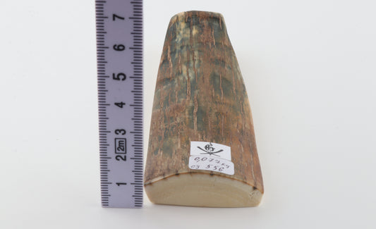 Brown-green mammoth bark
