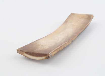 Mustard-blue mammoth bark