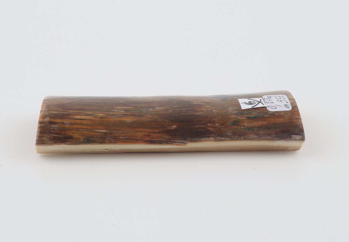 Brown-blue mammoth bark