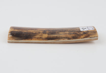 Brown mammoth bark
