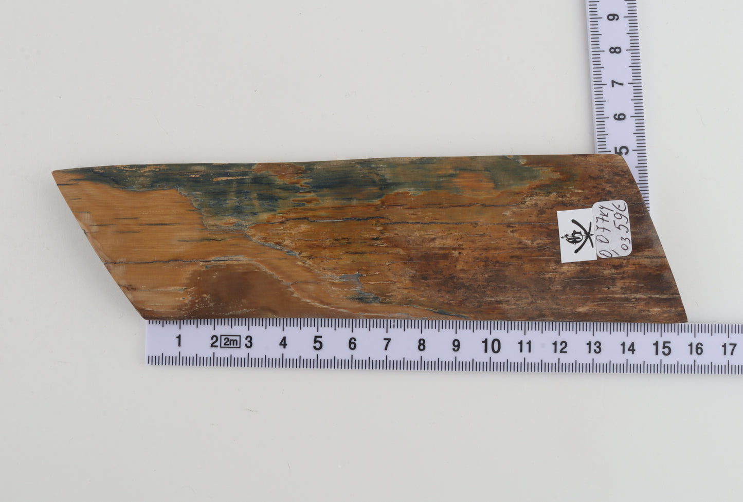 Blue-mustard mammoth bark